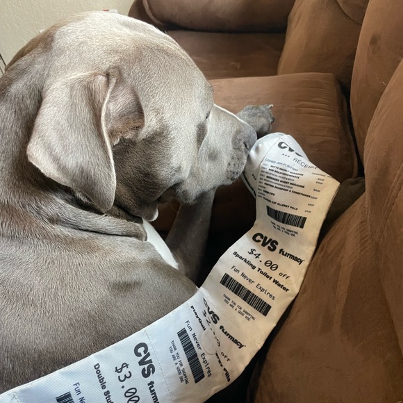 Bark Dog Bark Cvs Receipt Dog Toy Poshmark